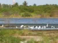 Lagoa Nova - LAGOA NOVA RN, Por joelson almeida